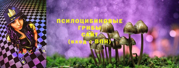 mix Вяземский