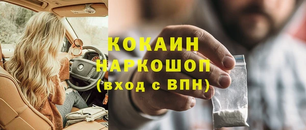 сатива Горнозаводск