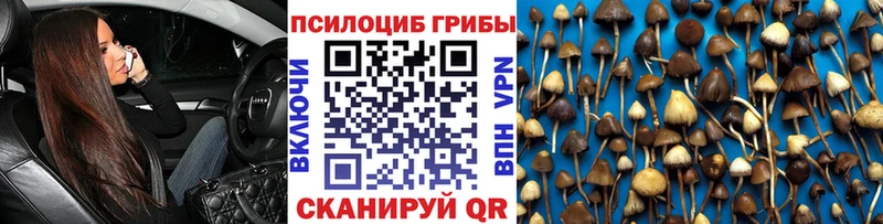 магазин продажи наркотиков  Зеленоградск  Галлюциногенные грибы ЛСД 