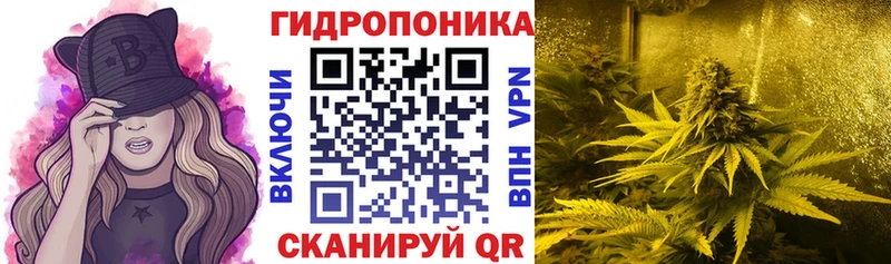 Шишки марихуана ГИДРОПОН купить наркоту Зеленоградск